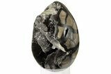 Septarian Dragon Egg Geode - Large Barite Crystals #185635-2